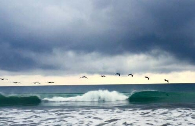 For rent suite in Santa Marianita